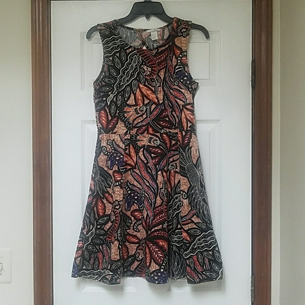 H&M Skater Dress